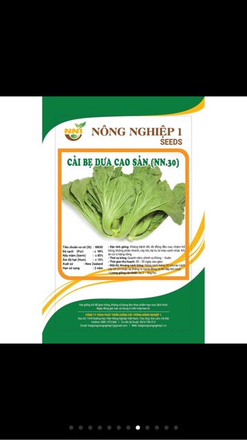 Hạt giống cải bẹ dưa
