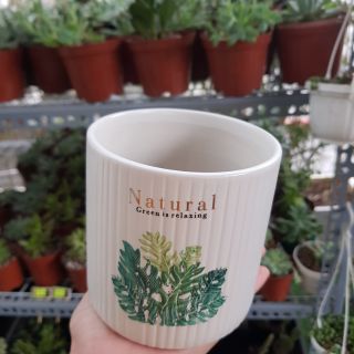 Chậu gốm trồng cây- tặng 1 bầu sen đá hoặc xương rồng bất kỳ.
