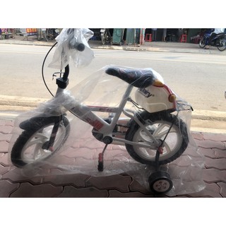 Xe đạp thể thao Sport 12 inch