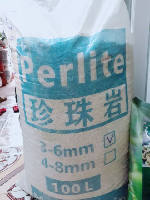 Đá perilte - sỏi nhẹ trồng sen đá xương rồng