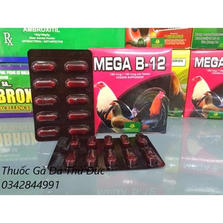 Thuốc nuôi Mega B12 cho gà đá - tăng nước máu.