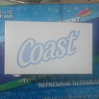 Xà bông Coast Mỹ 113g