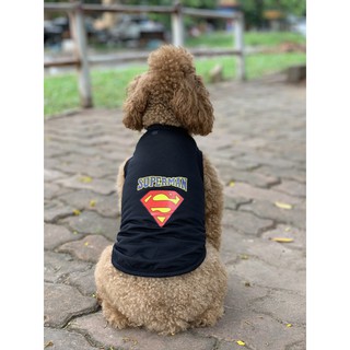 Áo SUPER MAN cho chó mèo