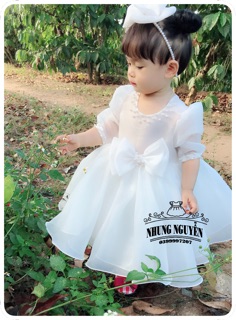 Váy công chúa cho bé 1 đến 2 tuổi Nhung Nguyễn Váy Đầm Công chúa Bé Gái Cao Cấp Tặng Kèm Cài