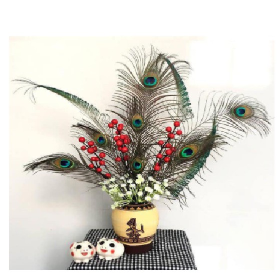 Combo 10 Lông công trang trí phong thủy tài lộc 28-35cm | BigBuy360 - bigbuy360.vn