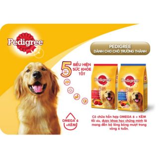 Thức ăn chó PIDIGREE vị thịt bò&rau củ