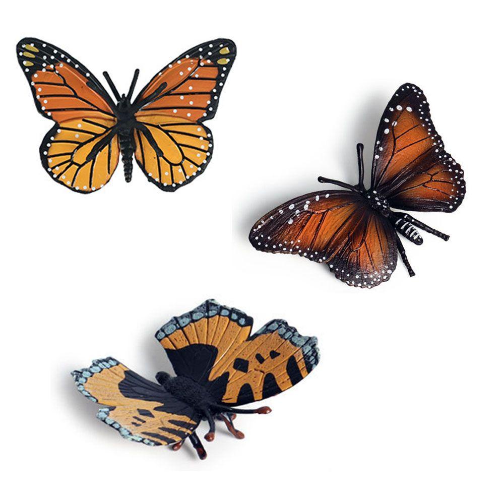 Mô Hình Bươm Bướm Trang Trí