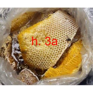 [0.5 Lít] MẬT ONG RỪNG - EAPAL- EAKAR- ĐAK LAK