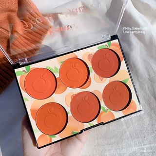 Phấn Má Hồng 6 Ô Karite
