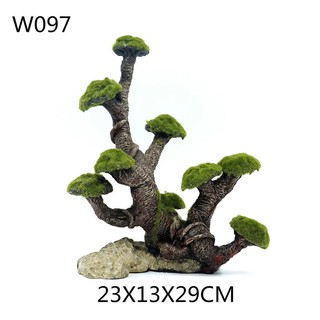 Trang Trí Hồ Cá Lũa Phủ Rêu