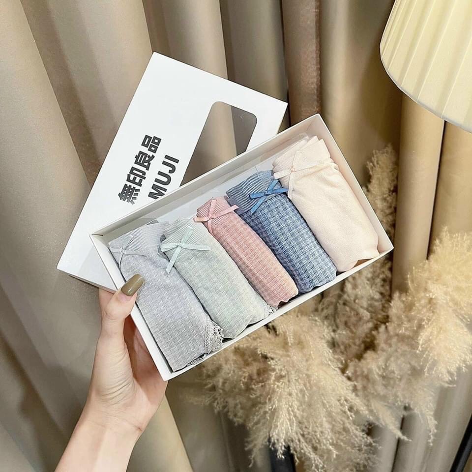 Hộp 5 quần chip nữ cotton kháng khuẩn cạp thấp