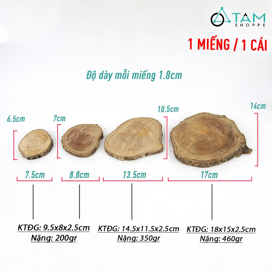 Lót ly lát cây gỗ tự nhiên nhiều kích cỡ  LOTLY-02