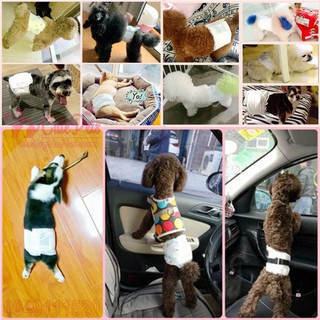[Bịch] Bỉm vệ sinh cho chó đực DONO - Cutepets