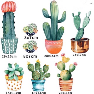 Tranh xương rồng decor