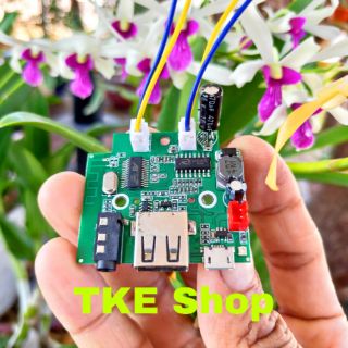 Mạch bluetooth 4.2 và khuếch đại âm thanh 2x5w