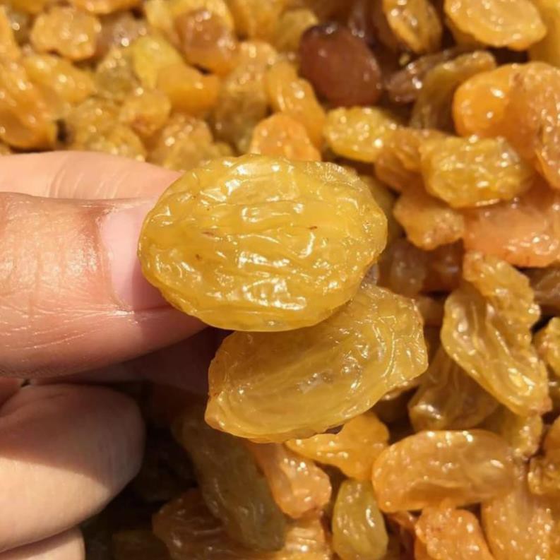 Nho Lion Vàng Sấy Dẻo Không Đường lon 500gr [Có Bán Sỉ], [Loại Đặc Biệt] Hàng ngon nhà làm