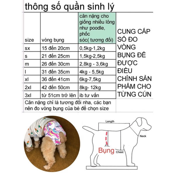 Quần sinh lý Ck cao cấp cho chó mèo/quần sinh lý cún cái