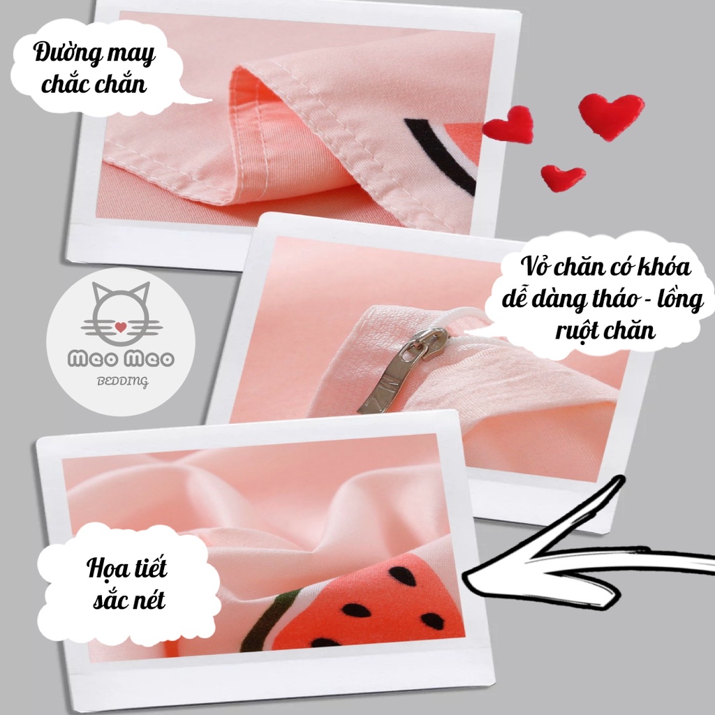 Bộ chăn ga gối Cotton Poly Hàn Quốc (Không kèm ruột) - Sét 4 món | BigBuy360 - bigbuy360.vn