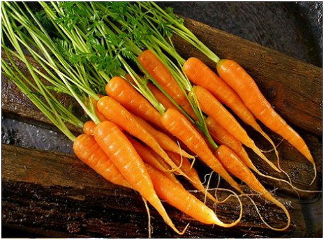 1 gói hạt giống cà rốt tí hon gói 100 hạt