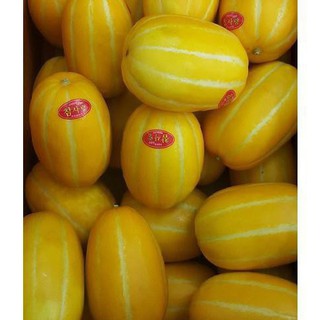 Hạt giống dưa lê Hàn Quốc [CHẤT LƯỢNG]