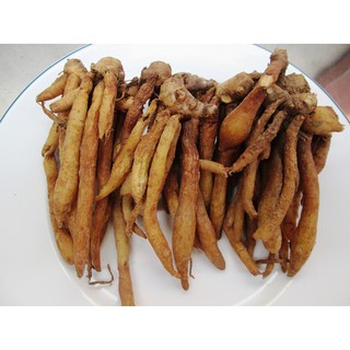 Củ Ngãi Bún Tươi  01kg