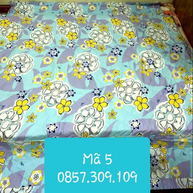 2 chiếc Ga rèm Sông Hồng 1m6( hàng thanh lý)