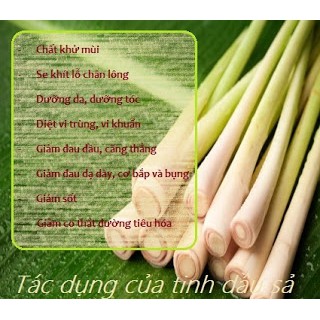 Combo 2 chai tinh dầu SẢ CHANH ẤN ĐỘ 50ML - Mùi thơm dễ chịu, Cho không gian sống thêm phần thi vị + Xua đuổi côn trùng