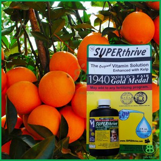 Siêu phẩm Superthrive 60ml
