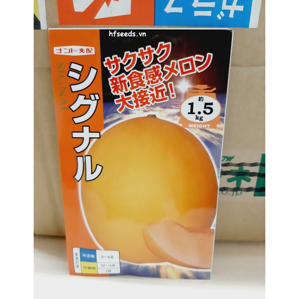 [Hạt giống Nhật Bản] Gói 5 hạt giống dưa lê siêu ngọt Nhật Bản Red Shine trồng mùa hè - tỷ lệ nảy mầm 98%