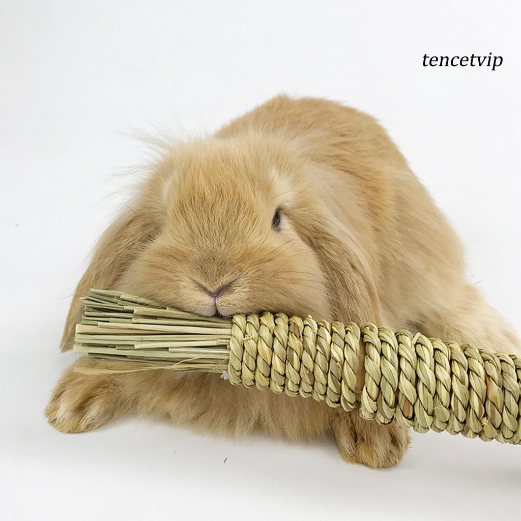 Đồ chơi mài răng cỏ thủy sinh tự nhiên đan thủ công hình củ cà rốt dành cho thỏ chuột hamster cưng