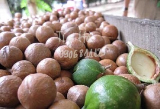 Mác Ca sấy loại 1 (0,5kg)