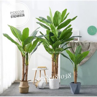Cây Chuối Cảnh giả giống thật - PiDecor
