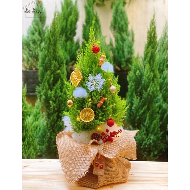 Thiệp chúc mừng Giáng sinh gift tag nhiều mẫu cực xinh