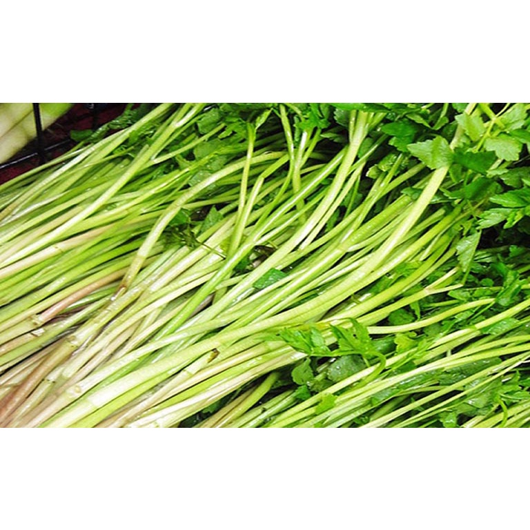 Rau Cần Ta Tươi xào thịt bò Ngon - giao hỏa tốc