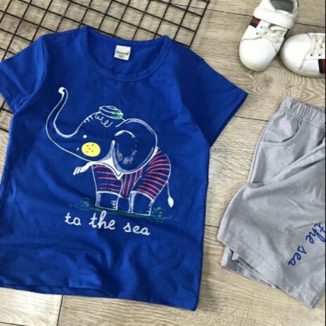 BỘ ĐẠI TRAI 2767