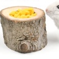 Bát ăn gỗ cho Hamster, thỏ , bọ , sóc