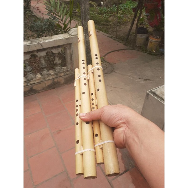 Sáo Mèo Kép Việt Tone Đô