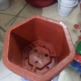 10 Chậu lục giác