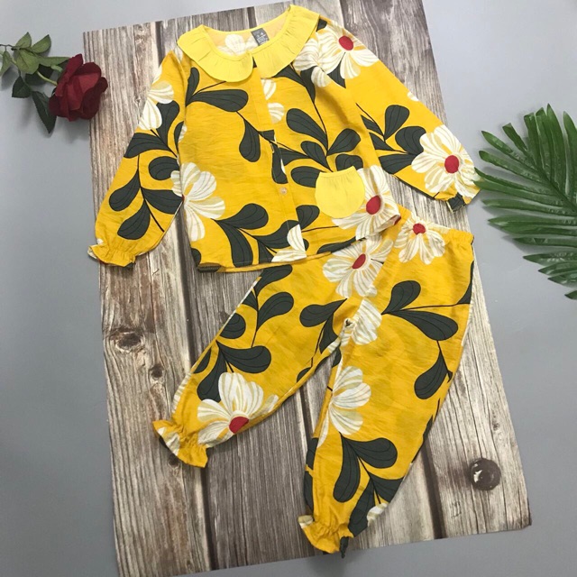Combo Bộ đũi tay dài bé gái