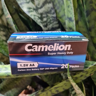 Pin AA camelion chính hãng