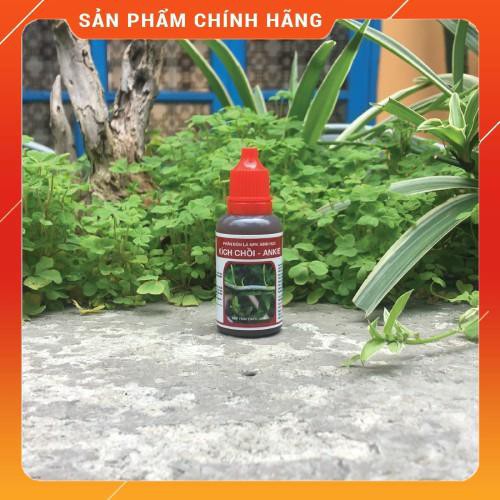 THUỐC kích mầm, chồi keiki cực mạnh ANKIE