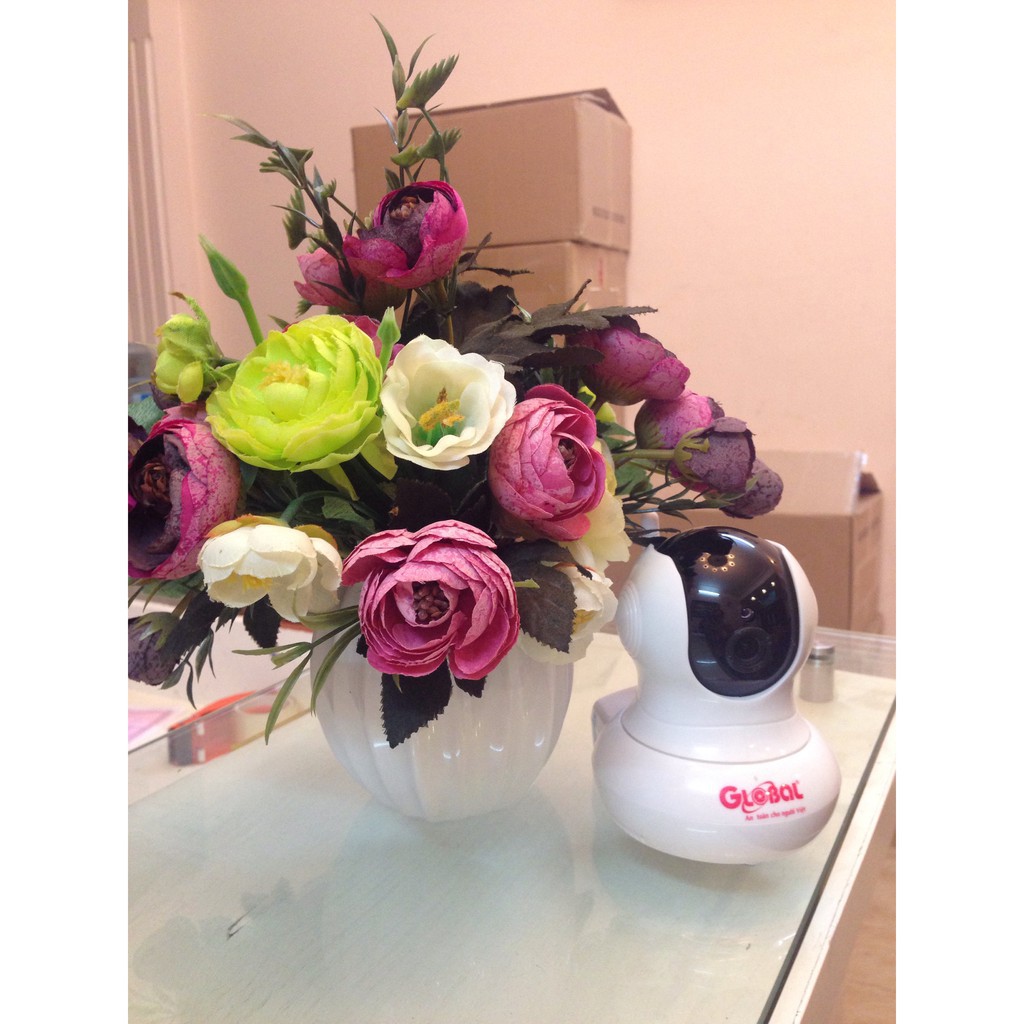 Camera Global WIFI không dây Việt Nam - Camera IP WIFI HD720P | BigBuy360 - bigbuy360.vn