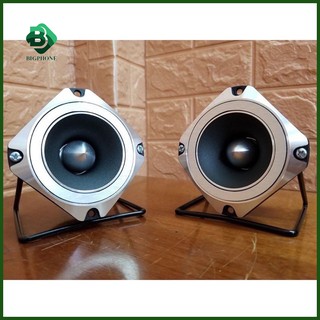 Loa treble Pioneer P8804