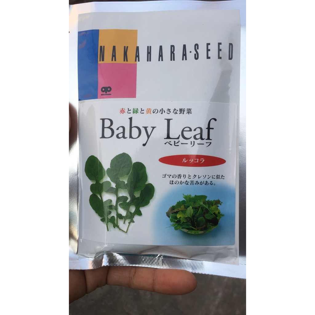 ATP Farm - Hạt giống cải Arugula Rocket BABYLEAF - Nhật Bản