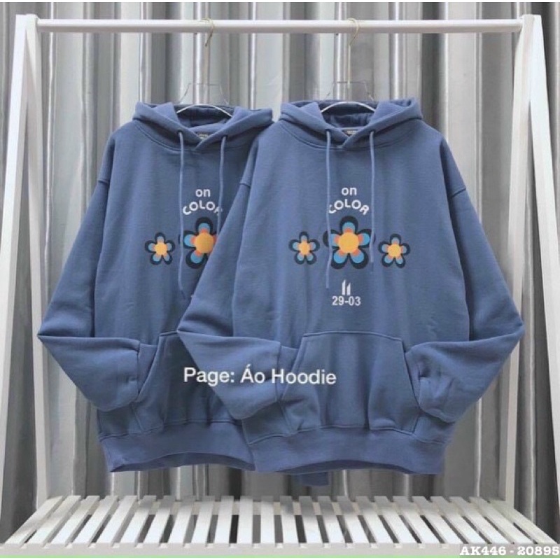 Áo Hoodie Nam Nữ Nỉ Bông Dày Form Rộng Hàng QC Áo Chuôi Đầu Nam Nữ Sweater Nữ ON COLOR - AK3446