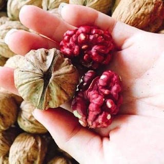 500g nhân óc chó đỏ