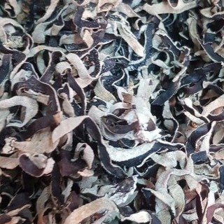 Nấm mèo xắt sợi 100g.