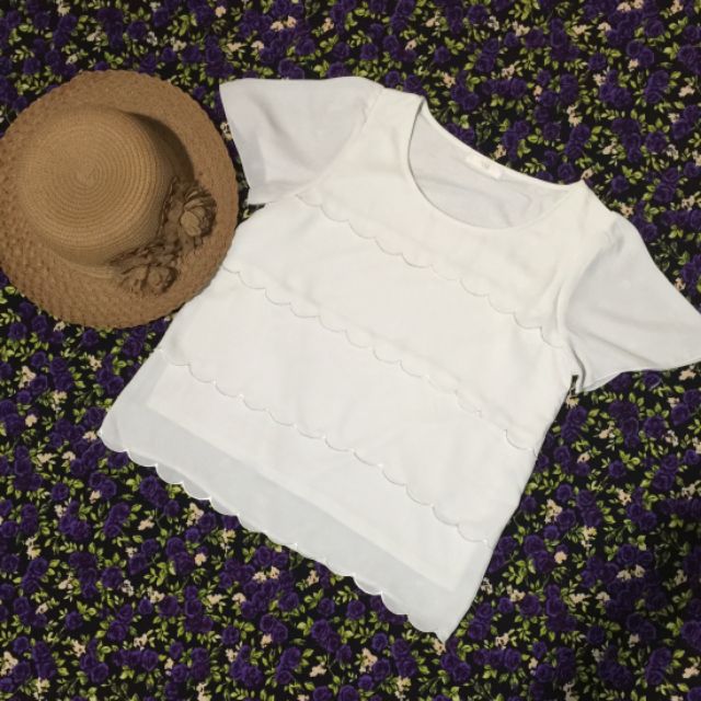 Combo áo kiểu 100k