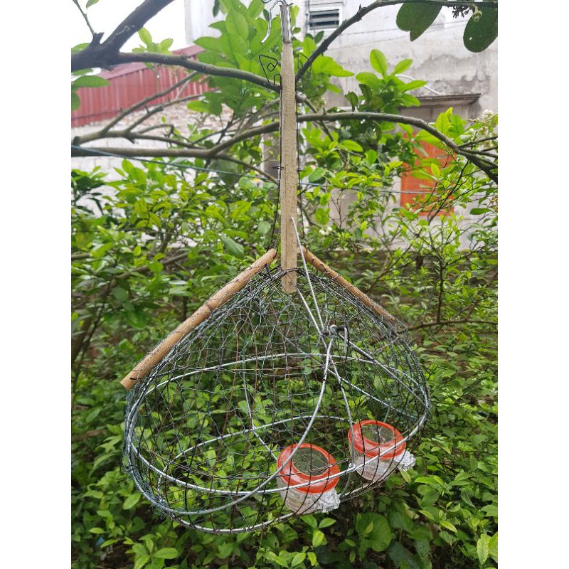 Lồng bẫy chim chào mào