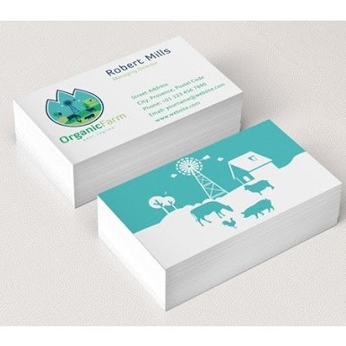 In 500 Danh thiếp GIÁ RẺ / Giấy C300 / Kích thước 90 x 54 mm / Cán màng / Không cán